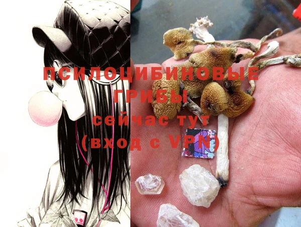 не бодяженный Абаза
