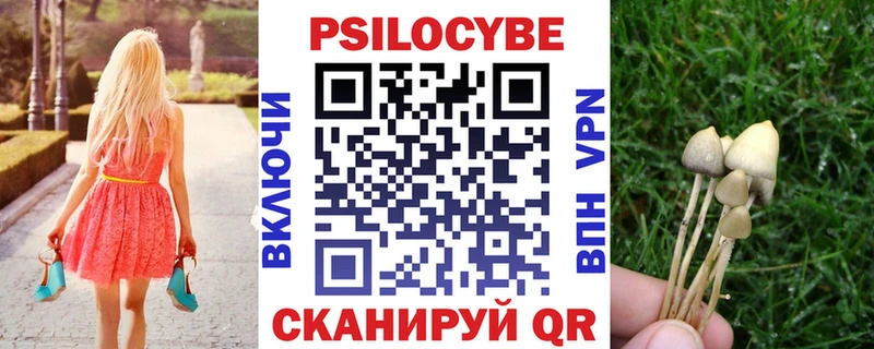 закладка  Краснозаводск  mega ссылки  Галлюциногенные грибы прущие грибы 